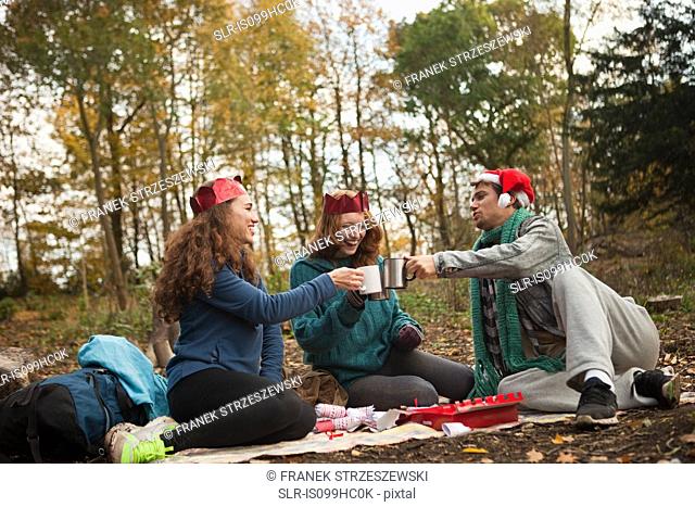 Young friends wearing Santa hats and crowns toasting in forest