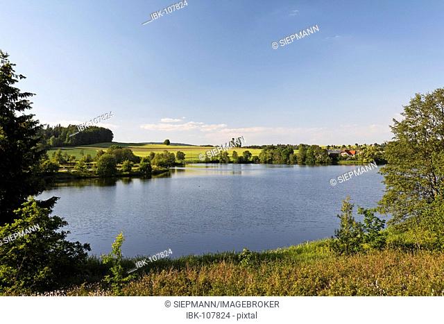 Pond in Kornthau , Stiftland , Upper Palatinate , Bavaria Germany