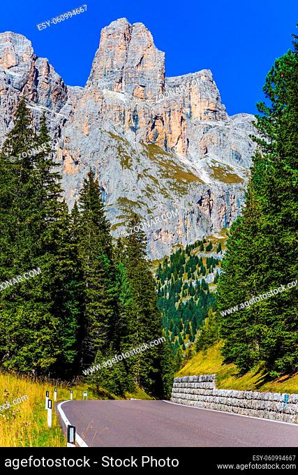The beautiful sunny day. The road passes in the coniferous forests in limestone rocks. Dolomite Alps. The concept of active, extreme and automobile tourism