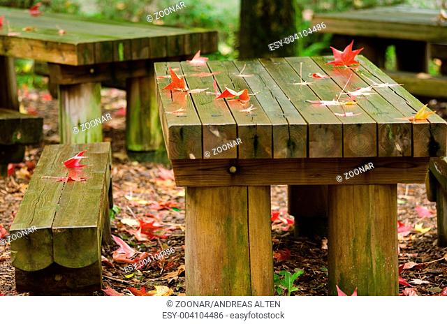 Red leaves on wooden table