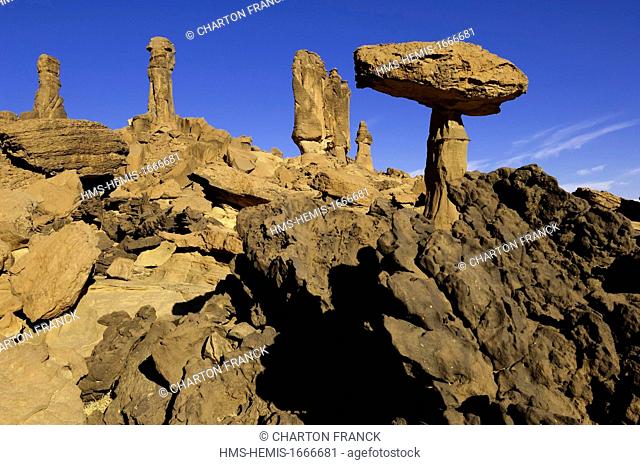 Chad, Southern Sahara desert, Ennedi massif, Deli mushrooms