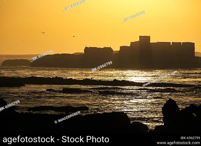 View of the ruins of the fortress at sunset, Mogador Island backlit, Iles Purpuraires, Essaouira, Atlantic coast, Marrakech-Safi, Morocco, Africa