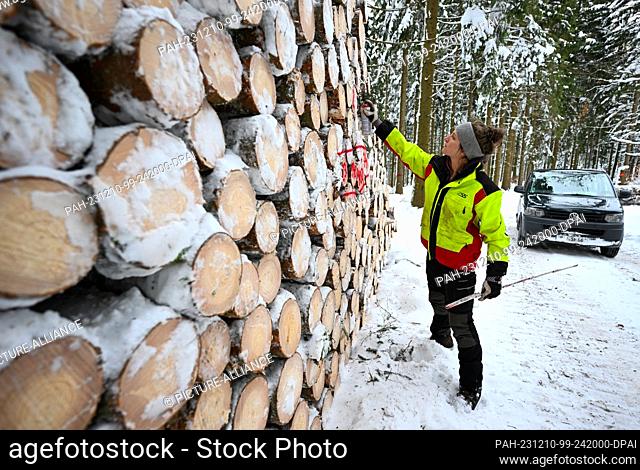 PRODUCTION - 08 December 2023, Saxony, Bockau: Forest ranger Anne Borowski works in the snow-covered winter forest near Bockau in the Ore Mountains