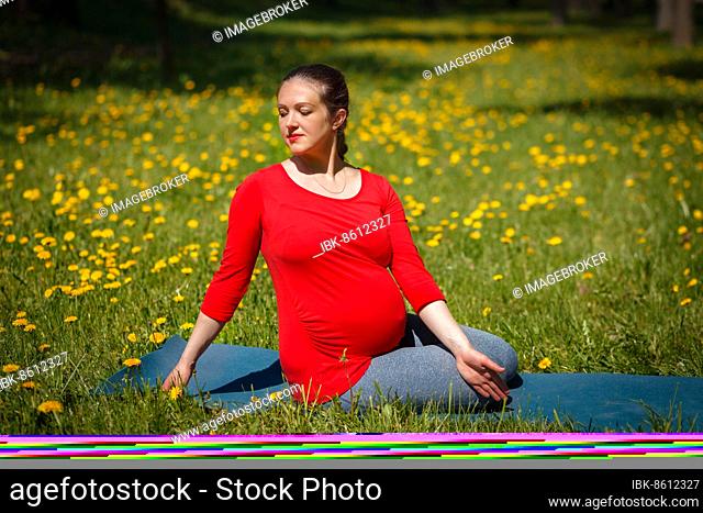 Pregnancy yoga exercise, pregnant woman doing asana Marichyasana easy variation outdoors on grass lawn with dandelions in summer