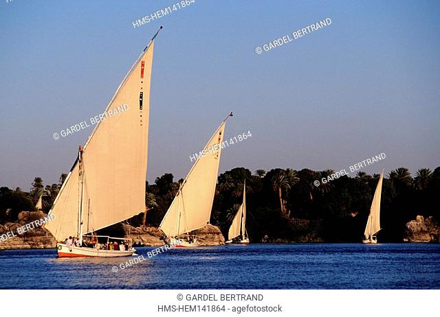Egypt, Nile valley, naviguation in felucca between Aswan and Luxor