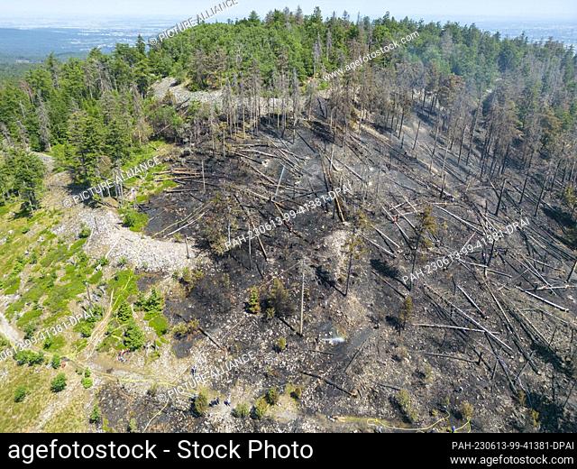 13 June 2023, Hesse, Oberursel: Firefighters extinguish nests of embers and flames flaring up again at a forest fire on the Altkönig in Taunus (aerial photo...