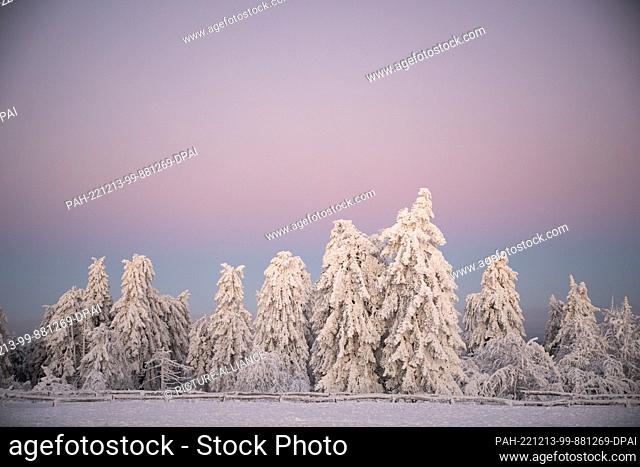 13 December 2022, Hessen, Schmitten: Snow-covered trees stand on the Großer Feldberg against a pastel-colored veil of mist illuminated by the rising sun