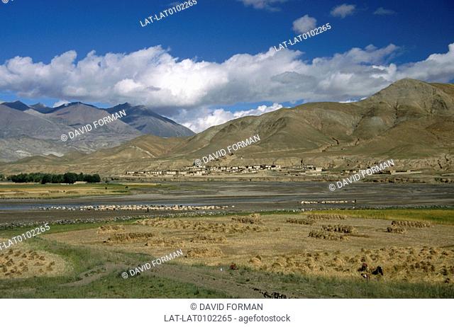 Shelkar at the foot of mountains as seen across a plain with a river and sheep grazing. It was home to the Shelkar Chode Monastery
