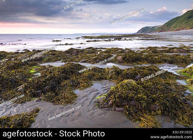 Peppercombe beach at low tide on the North Devon coast, England