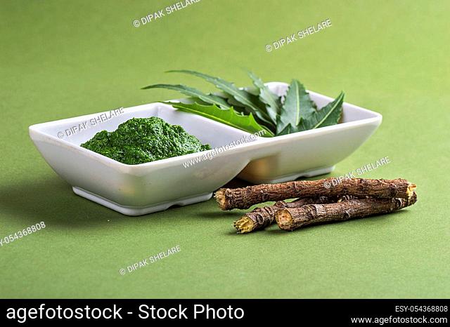 Medicinal Neem leaves paste and leaves with twigs on green background