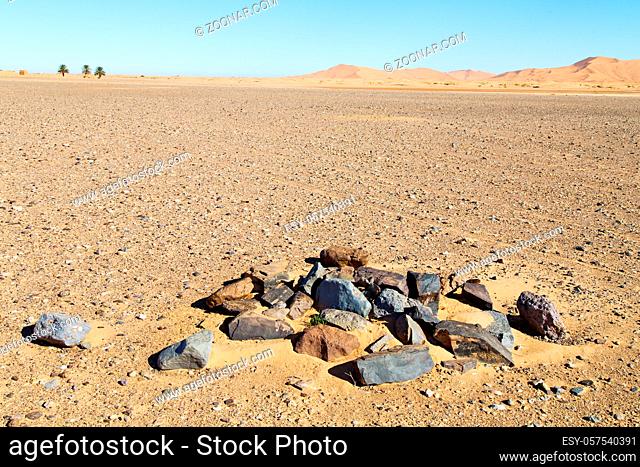 old fossil in the desert of morocco sahara and rock stone  sky