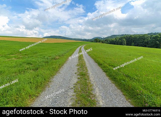 Dirt road in landscape, Hofbieber, Rhoen mountain range, Hesse, Germany