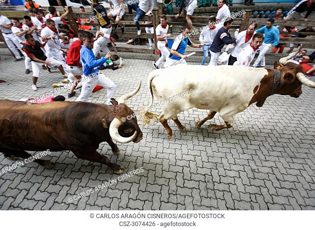 PAMPLONA, SPAIN - JULY 14, 2017: Bulls and people running on the street, encierro, in the festival of San Fermin. Bulls of Eduardo Miura in the eighth and last...