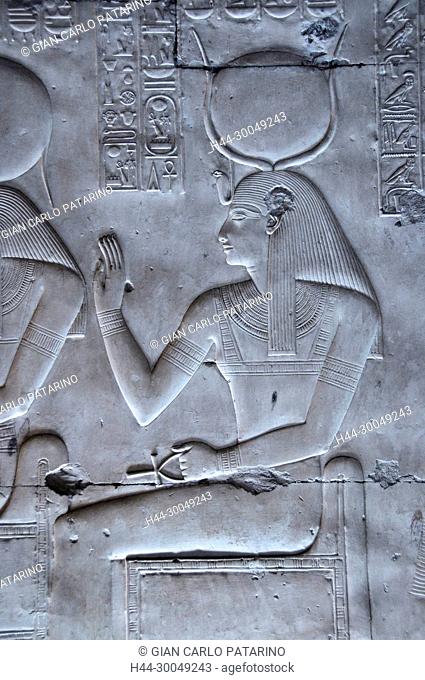 Abydos, Egypt, the mortuary temple of pharaoh Seti I, Menmaatra, (XIX° dyn. 1321-1186 B.C.) - The goddess Hathor