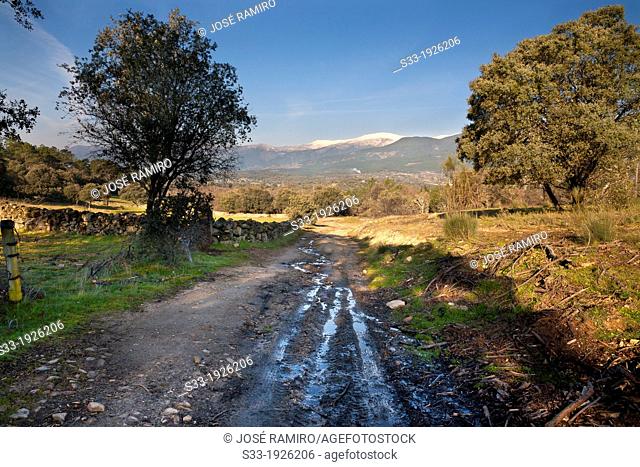 Tietar Valley  La Iglesuela  Toledo  Castilla la Mancha  Spain