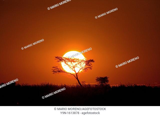 The sun sets in deception Valley in the heart odf the Central Kalahari Game Reserve in Botswana