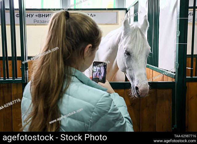 RUSSIA, MOSCOW - OCTOBER 4, 2023: A girl takes a picture of a horse at the 2023 Golden Autumn agricultural exhibition held at the Russian State Agrarian...