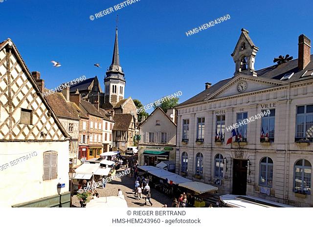 France, Yonne, Toucy, place of City Hall on market day