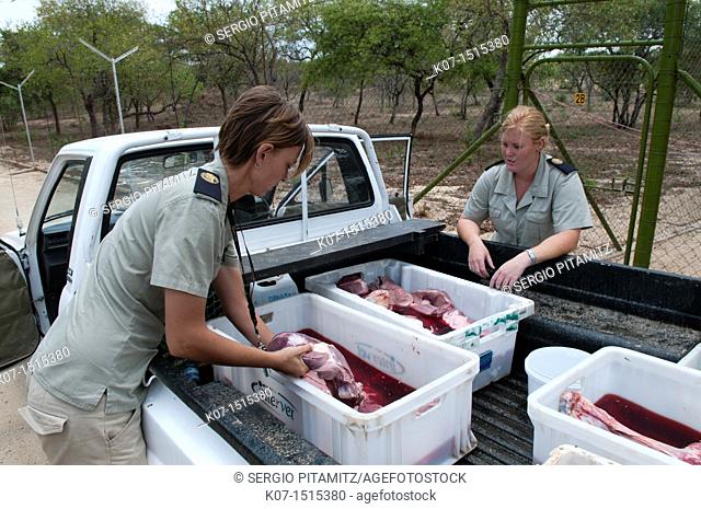 Hoedspruit Endangered Species Centre, Kapama Game Reserve, South Africa
