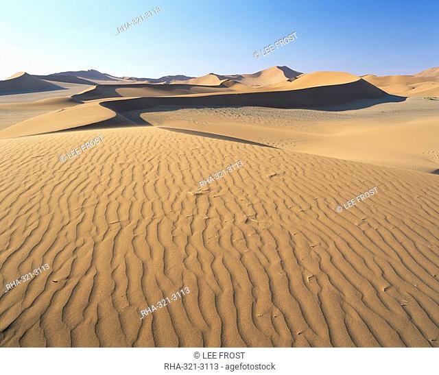 Sand dunes and dune sea, Sesriem, Namib Naukluft Park, Namibia, Africa