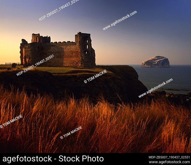 Tantallon Castle & Bass Rock, near North, Lothian Region, Scotland