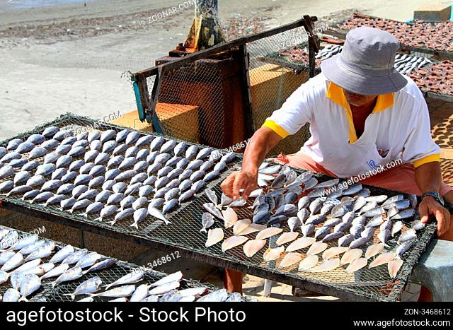 Fisherman with dry headless fish on the beach