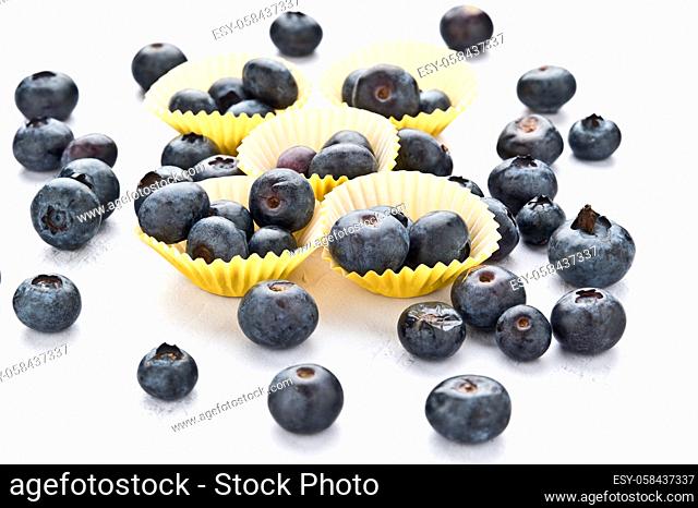 Bilberry refers to a group of perennial dwarf shrubs in the genus Vaccinium, subgenus Oxycoccus, although some botanists consider Oxycoccus a separate genus
