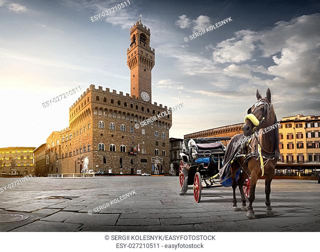 Horse on Piazza della Signoria in Florence at dawn, Italy
