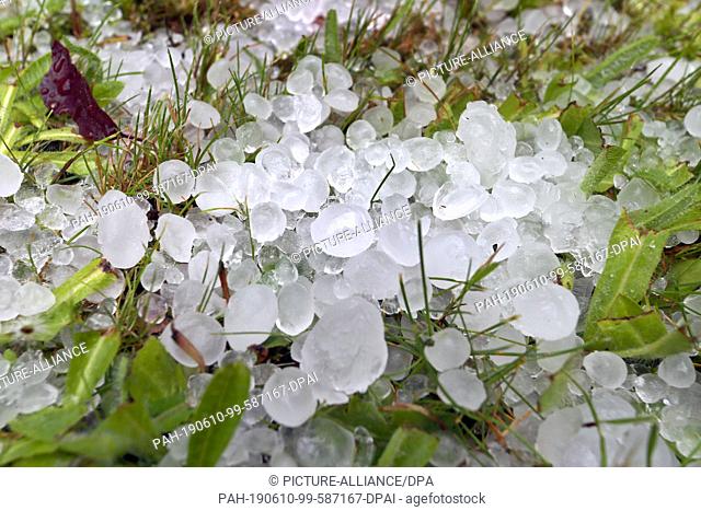 10 June 2019, Bavaria, Kaufbeuren: Hail grains lie in a garden on the lawn. Photo: Karl-Josef Hildenbrand/dpa. - Kaufbeuren/Bavaria/Germany