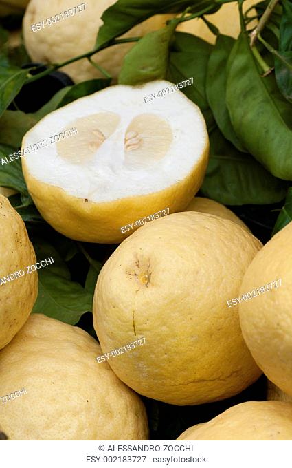 Citron is a fragrant citrus fruit, Citrus medica