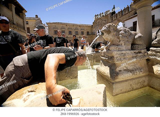Middle-aged man cooling in the fountain gate of Jaen Baeza, Fountain of the lions in the Plaza of Pópulo also called the Lions square, Baeza, Jaén Province