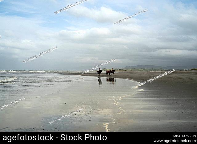 Horse riders on the beach at Opotiki, Bay of Plenty District, North Island, New Zealand