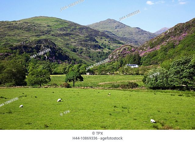 Wales, Gwynedd, Snowdonia National Park, View of Mount Snowdon from Beddgelert