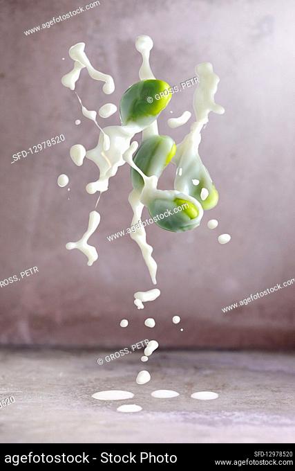 Green soya beans with a splash of milk