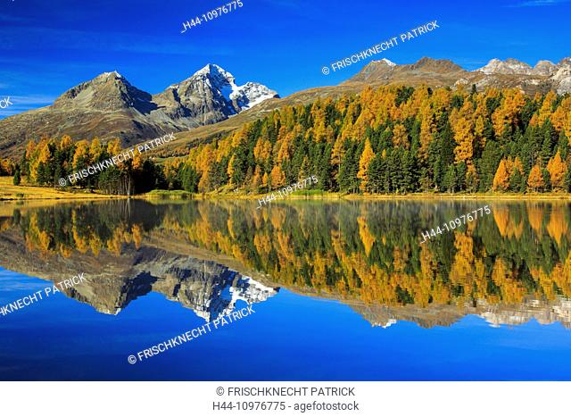 Alps, Alpine, panorama, mountain, mountains, massif, mountain lake, mountains, summit, peak, Graubünden, Grisons, autumn, colors, wood, Lej da Staz, larch