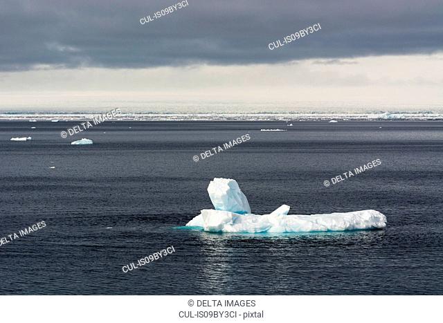 Arctic ocean ice floe seascape, Erik Eriksenstretet strait separating Kong Karls Land from Nordaustlandet, Svalbard, Norway