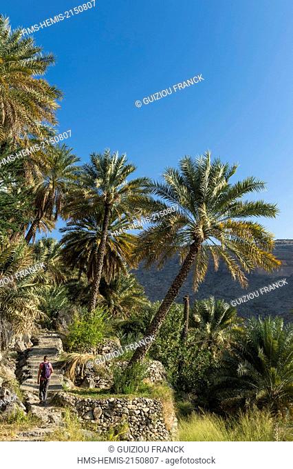 Sultanate of Oman, gouvernorate of Ad-Dakhiliyah, Al Hajar Mountains range, the village of Misfat al Abriyyin at the foot of Djebel Shams