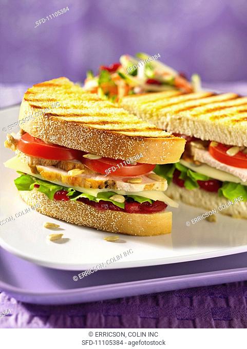 Toasted turkey sandwich with cranberry sauce