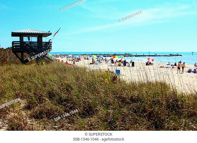 Tourists on the beach, Nokomis Beach, Gulf Of Mexico, Sarasota County, Florida, USA