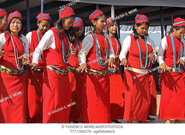 Tagin Women, Tribes Performing Dance at Namdapha Eco Cultural Festival, Miao, Arunachal Pradesh, India