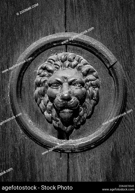 lion head on the door, black and white