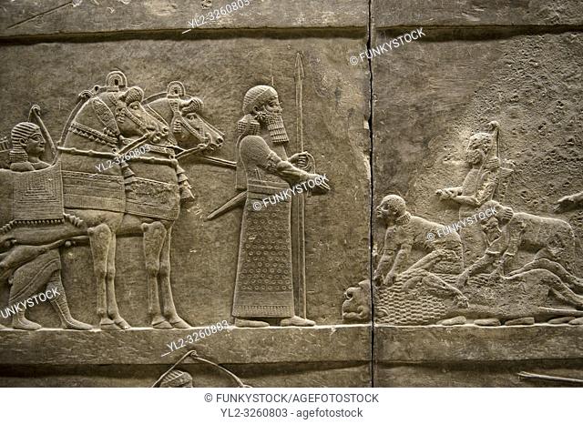 Assyrian relief sculpture panel of Ashurnasirpal lion hunting. From Nineveh North Palace, Iraq, 668-627 B. C. British Museum Assyrian Archaeological exhibit