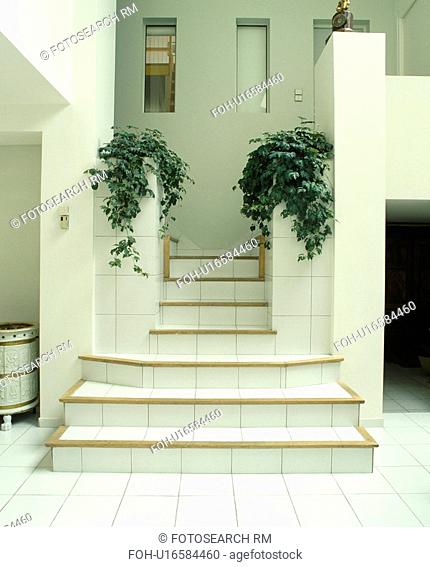 White tiles staircase in eighties modern white hall with trailing green houseplants