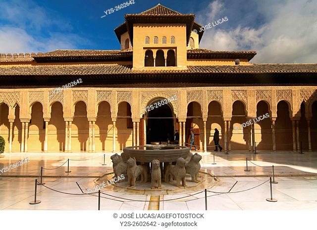 The Lions Courtyard, The Alhambra, Granada, Region of Andalusia, Spain, Europe