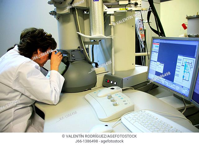 Working with the electron microscope in a laboratory
