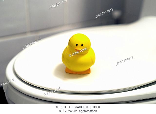 Child's Yellow Rubber Duck Bathtub toy, standing guard atop a closed toilet seat