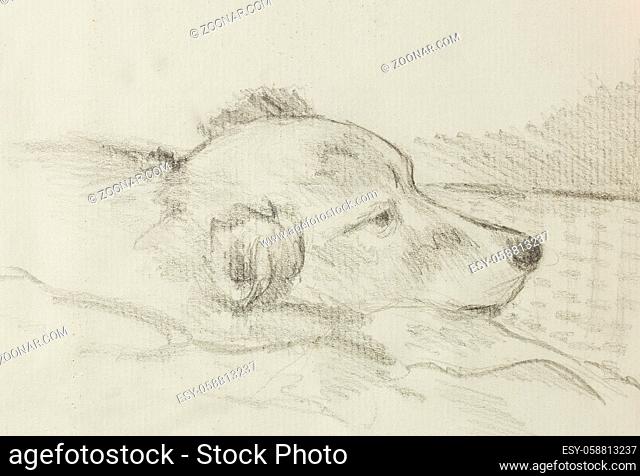 Drawing Beautiful sleeping dog on old paper