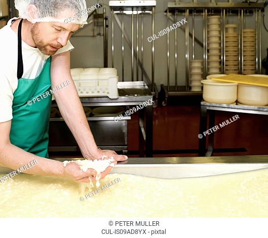 Cheesemaker with handful of curds at farm factory