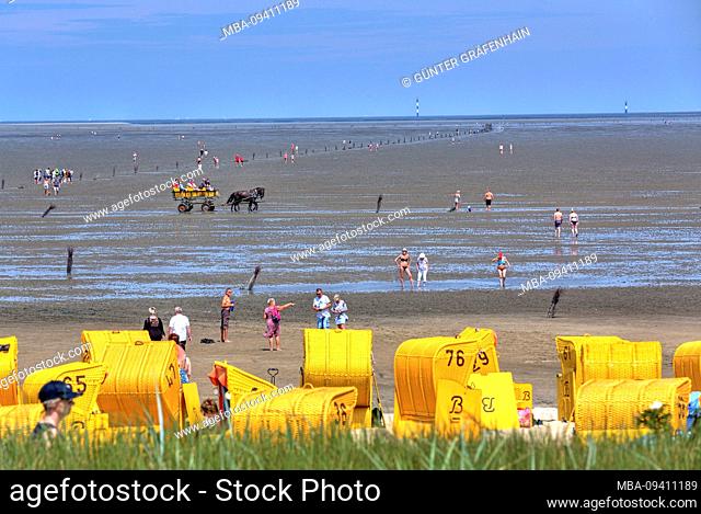 Beach with beach chairs on the Wadden Sea at low tide with Watt wanderers and Wattwagen in the district Duhnen, North Sea resort Cuxhaven, Elbe estuary