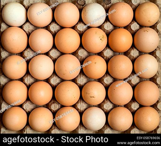 Overhead view of free range organic chicken eggs in tray. Some eggs are dirty
